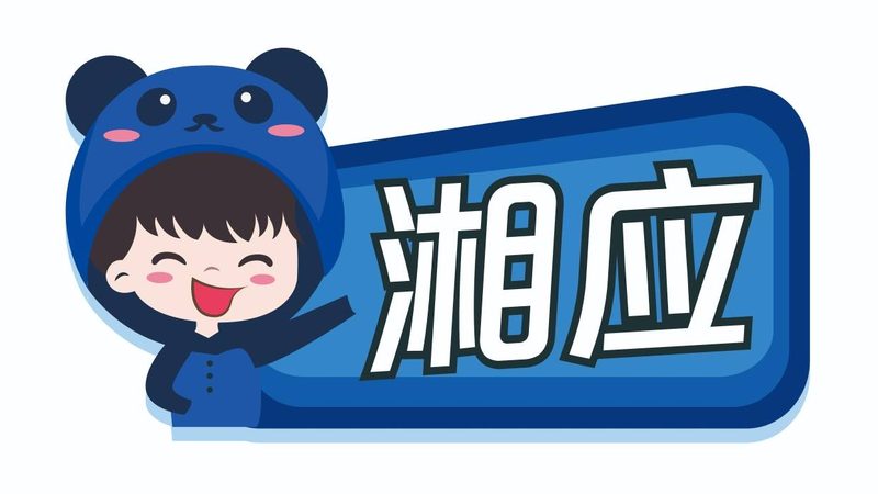综合布线投标报价案例分析：揭秘中标关键要素